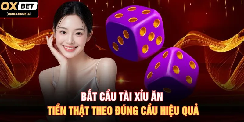 Bắt cầu Tài Xỉu ăn tiền thật theo đúng cầu hiệu quả