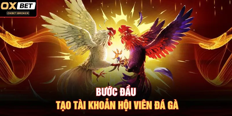Bước đầu tạo tài khoản hội viên đá gà