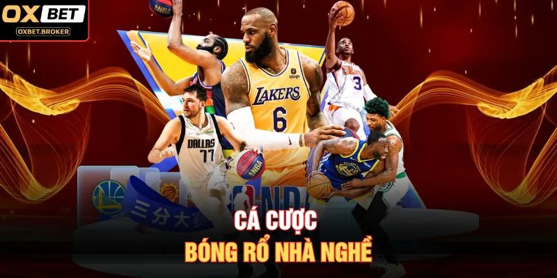Cá cược bóng rổ nhà nghề