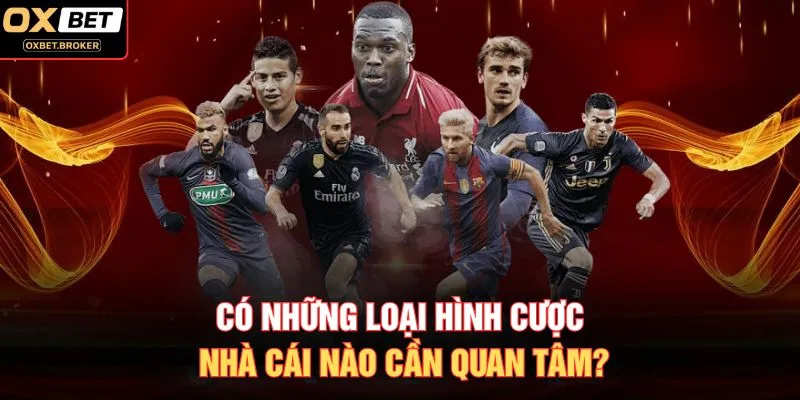 Có những loại hình cược nhà cái nào cần quan tâm?