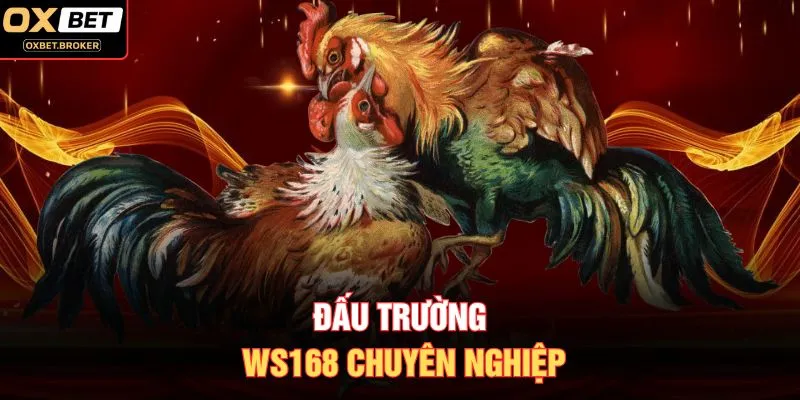 Đấu trường WS168 chuyên nghiệp
