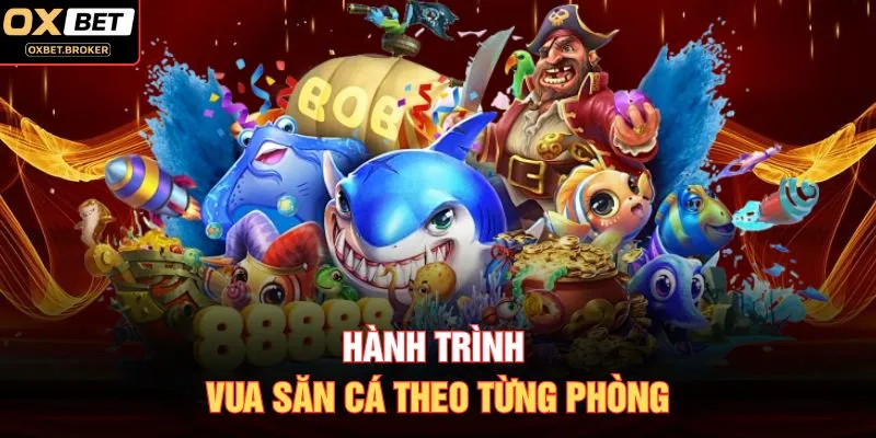 Hành trình Vua Săn Cá theo từng phòng