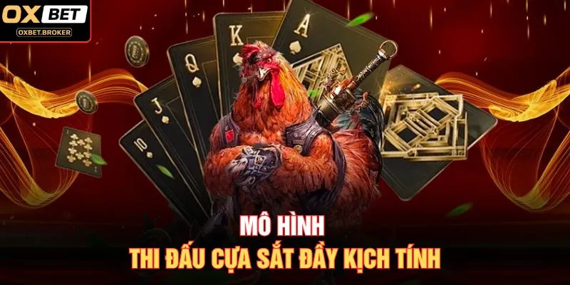 Mô hình thi đấu cựa sắt đầy kịch tính