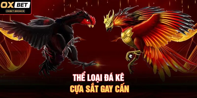 Thể loại đá kê cựa sắt gay cấn