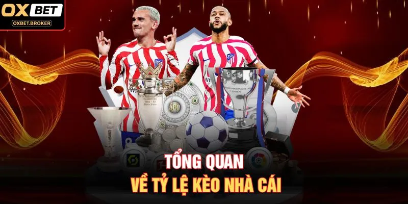 Tổng quan về tỷ lệ kèo nhà cái