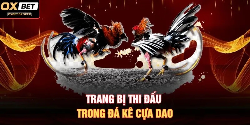 Trang bị thi đấu trong đá kê cựa dao
