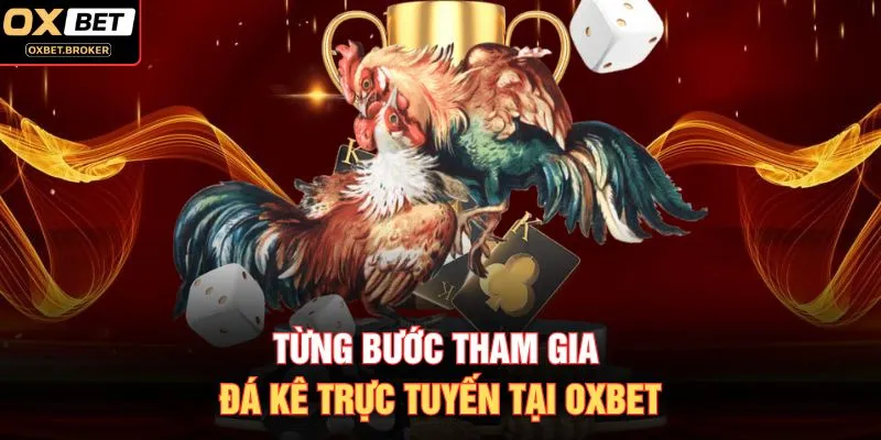 Từng bước tham gia đá kê trực tuyến tại OXBET
